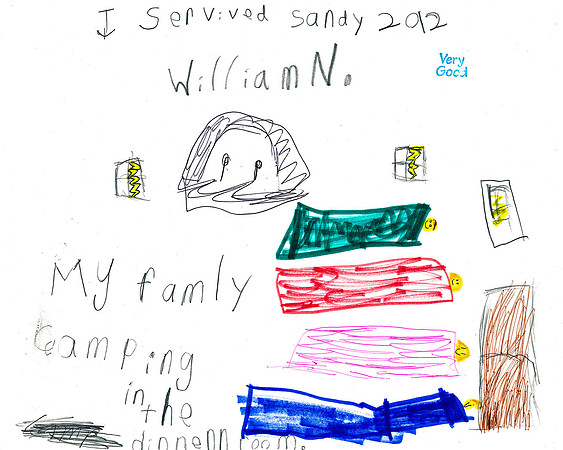 sandy_lsart_12_1