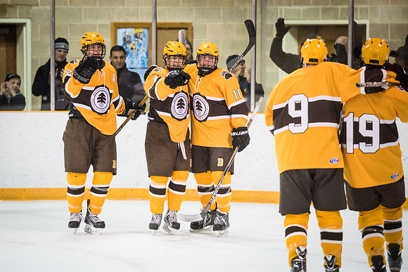 hockey_2016-02-17_wkl_8519
