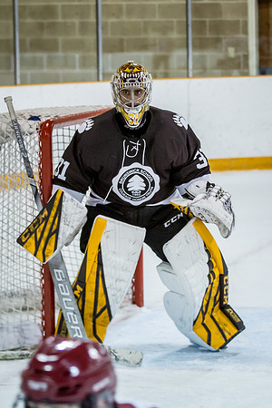 hockey_2020-01-09_jfess_1456