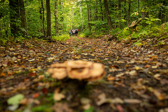 randolphvt2021_trip03_hike_bdf_1488