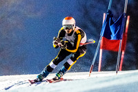 Alpine Skiing
