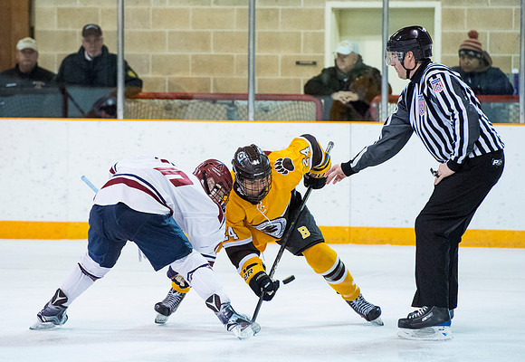 hockey_2017-03-04_dburns_3790