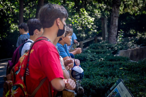 classtrip21_bronxzoo_gr9_jfess_9969
