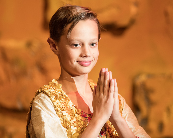 aladdinjr_ms_db_9777