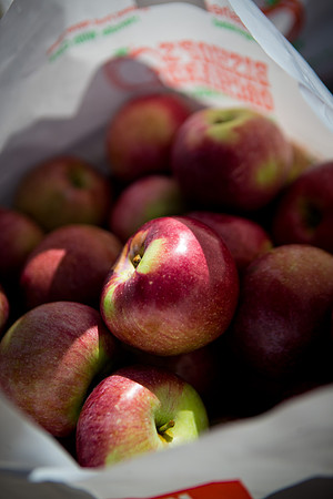 appleciderpress_gr2_mkras_0001