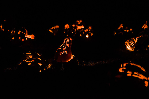 pumpkinblaze16_hp_9328