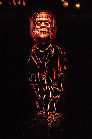 pumpkinblaze_hp_8393
