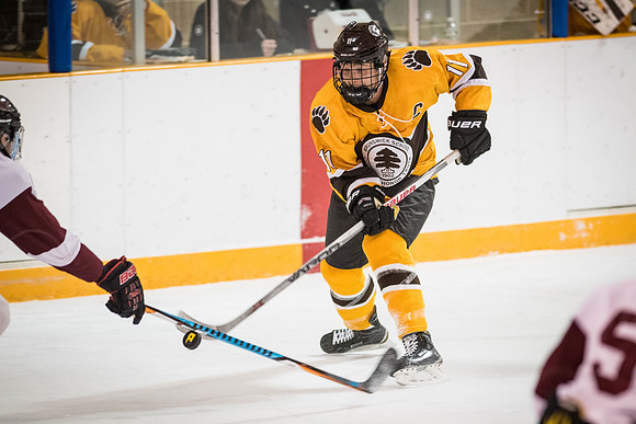 hockey_2017-02-10_wkl_2705