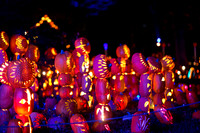 pumpkinblaze19_mkras_0026