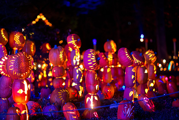 pumpkinblaze19_mkras_0026