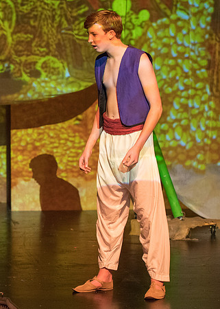 aladdinjr_ms_db_3806b