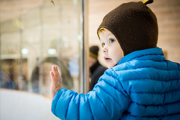 hockey_2016-02-17_wkl_8393