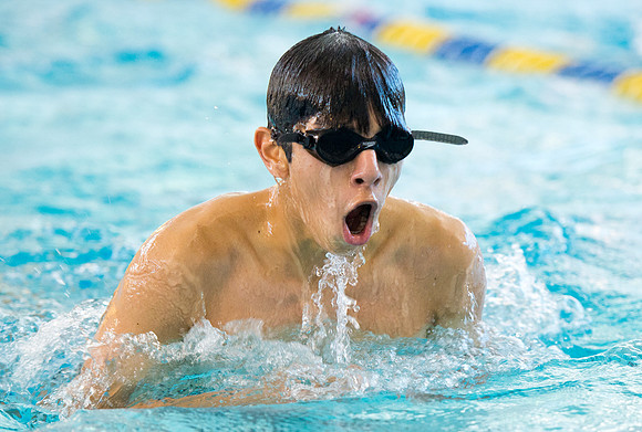 swim_db_2410