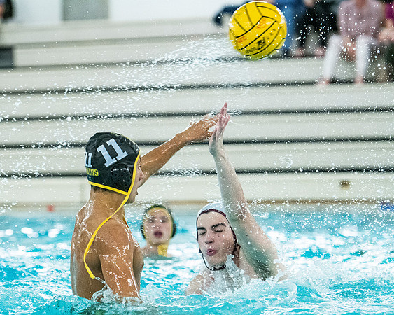 waterpolo_2019-10-11_dburns_6255