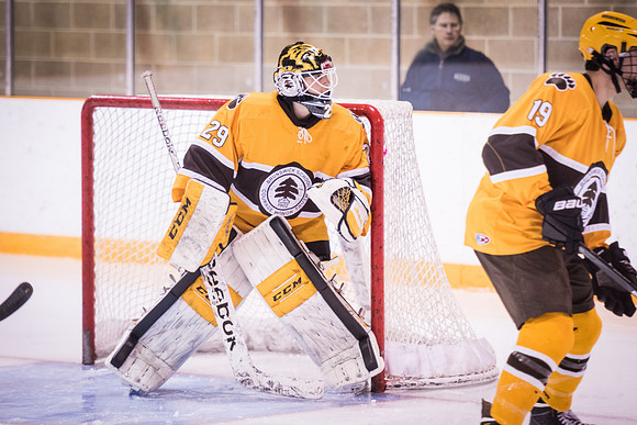 hockey_2016-02-17_wkl_8576