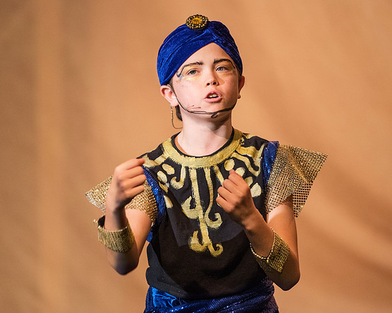 aladdinjr_ms_db_3813