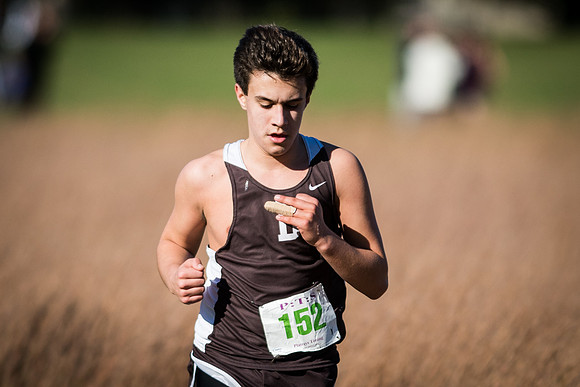 crosscountry_2017-10-31_faachamps_wkl_5306