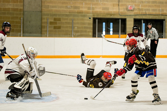 hockey_ms2_2025-01-29_ah_0115