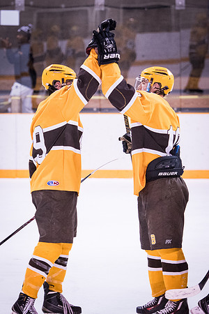 hockey_2016-02-17_wkl_8652