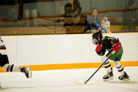 hockey_ms2_2025-01-29_ah_0018