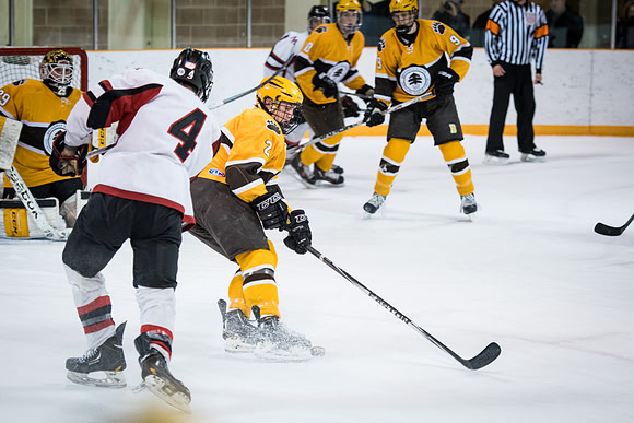 hockey_2016-02-17_wkl_8304