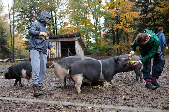 randolphvt1920_trip03_driftfarmstead_bdf_5516