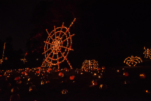 pumpkinblaze16_hp_9313