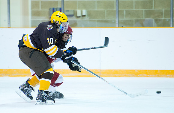 hockey_db_6743