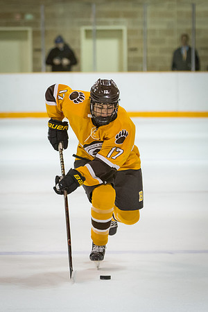 hockey_2017-12-11_jfess_1010