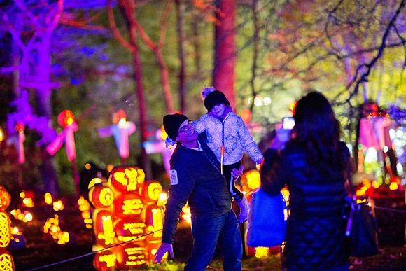 pumpkinblaze19_mkras_0069