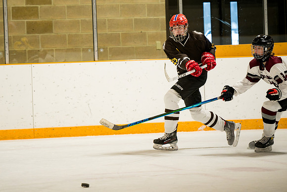 hockey_ms2_2025-01-29_ah_0113