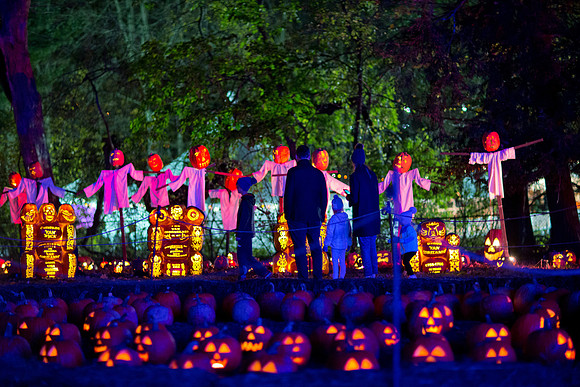 pumpkinblaze19_mkras_0027