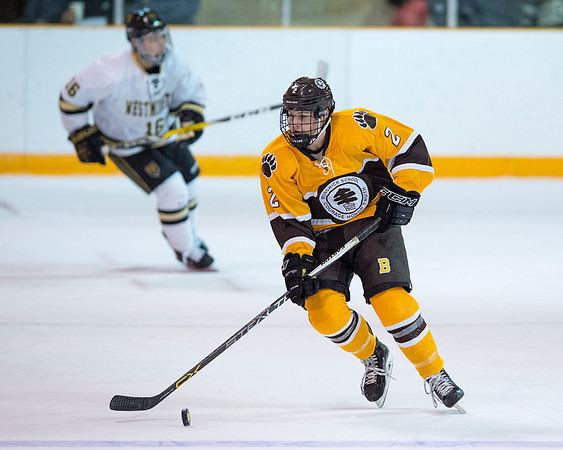 hockey_2016-12-10_dburns_2391
