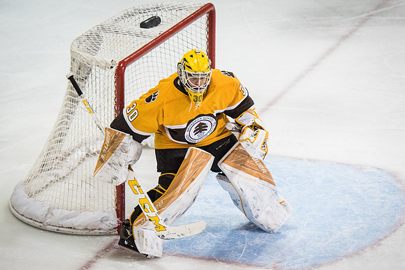 hockey_2017-02-10_wkl_2861