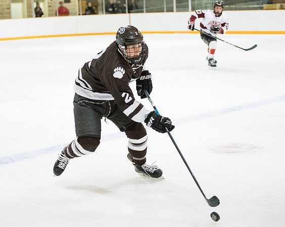 hockey_2018-02-09_db_9308