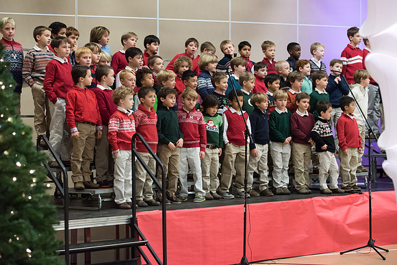 holiday_ls_hp_6203