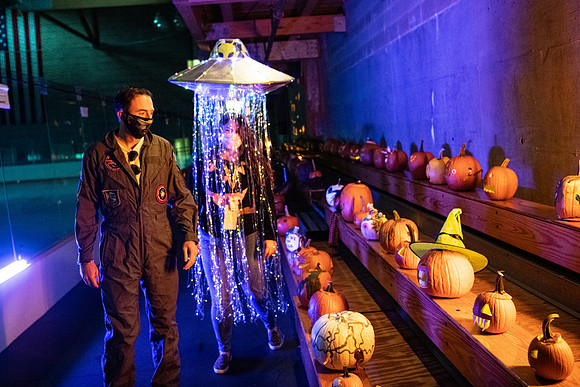 pumpkinparade_psls_wkl_4038