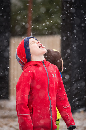 snow_ps_2017-01-31_wkl_4929