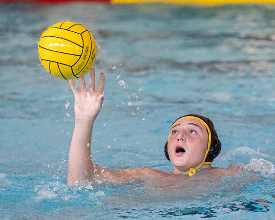 waterpolo_ms_2024-09-24_dburns_4878