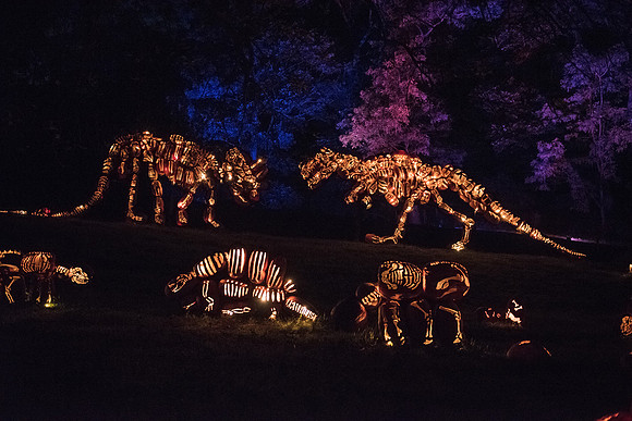 pumpkinblaze_hp_8272