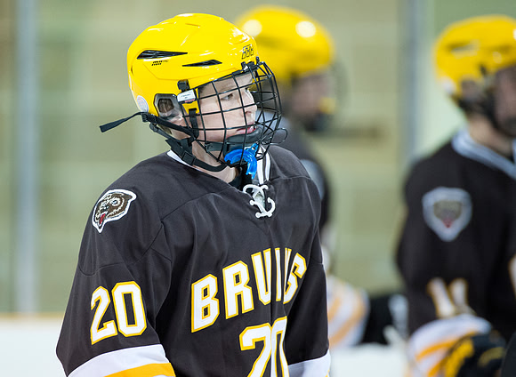 hockey_db_5995