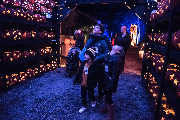 pumpkinblaze_hp_8338