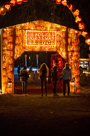 pumpkinblaze19_mkras_0073