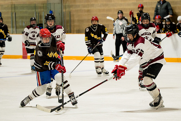 hockey_ms2_2025-01-29_ah_0041