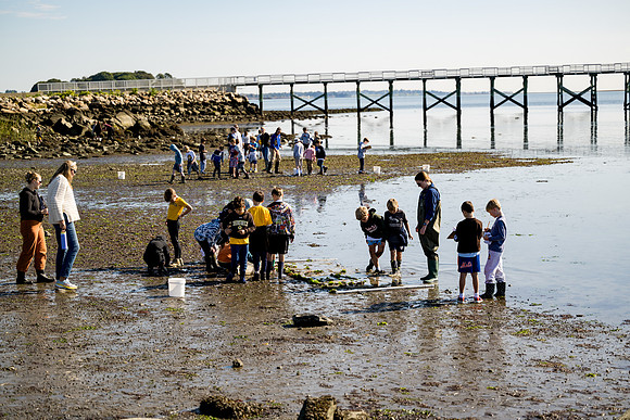 classtrip23_gr2_calfpasture_ah_0057