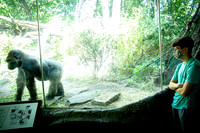 Bronx Zoo, Gr9