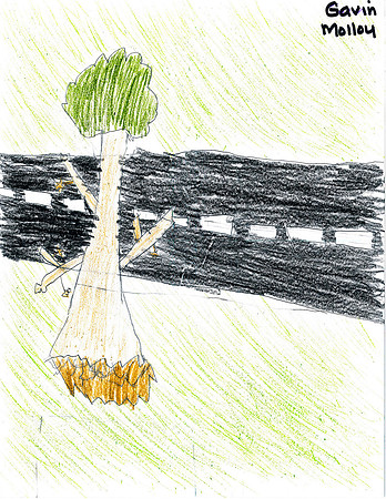 sandy_lsart_01_1