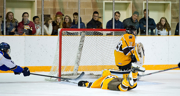 hockey_2014-11-22_hotchkiss_dburns_7901