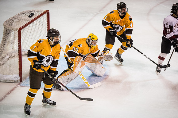 hockey_2017-02-10_wkl_2850