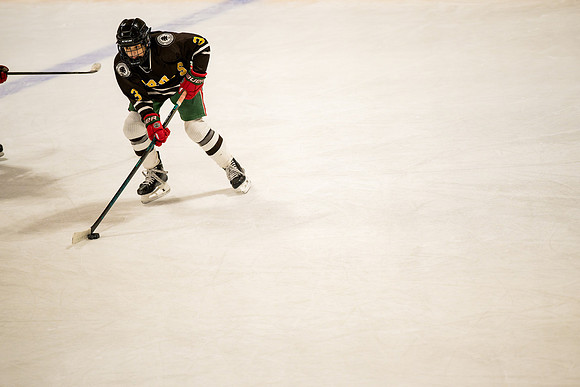 hockey_ms2_2025-01-29_ah_0049